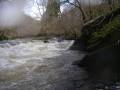 Melte 01-04-06 021 